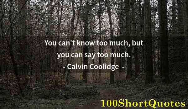 Quote by Albert Einstein: You can't know too much, but you can say too much.