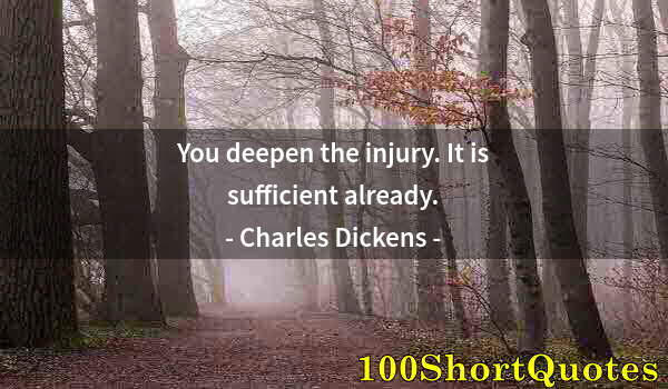 Quote by Albert Einstein: You deepen the injury. It is sufficient already.