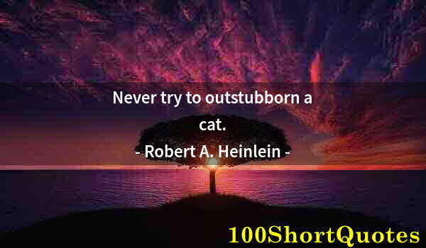 Quote by Albert Einstein: Never try to outstubborn a cat.