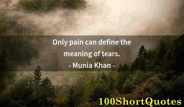 Quote by Albert Einstein: Only pain can define the meaning of tears.