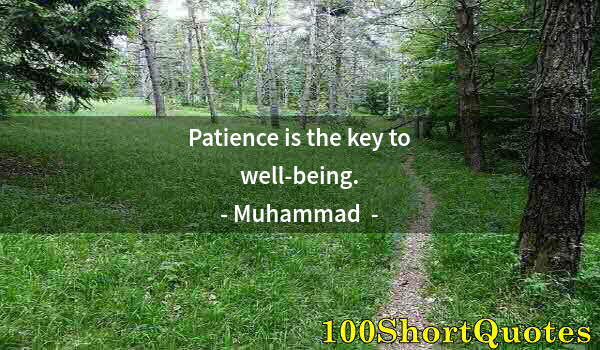 Quote by Albert Einstein: Patience is the key to well-being.