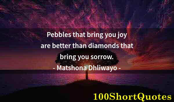 Quote by Albert Einstein: Pebbles that bring you joy are better than diamonds that bring you sorrow.