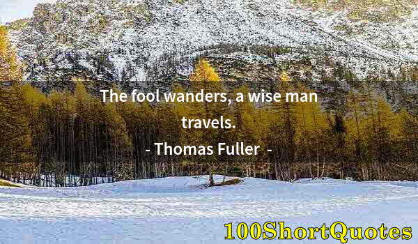 Quote by Albert Einstein: The fool wanders, a wise man travels.