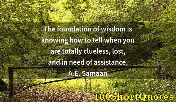 Quote by Albert Einstein: The foundation of wisdom is knowing how to tell when you are totally clueless, lost, and in need of ...