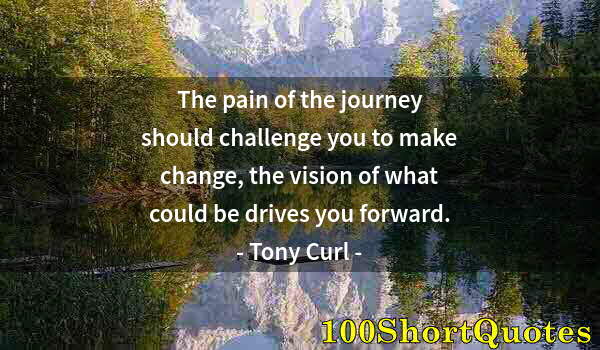 Quote by Albert Einstein: The pain of the journey should challenge you to make change, the vision of what could be drives you ...