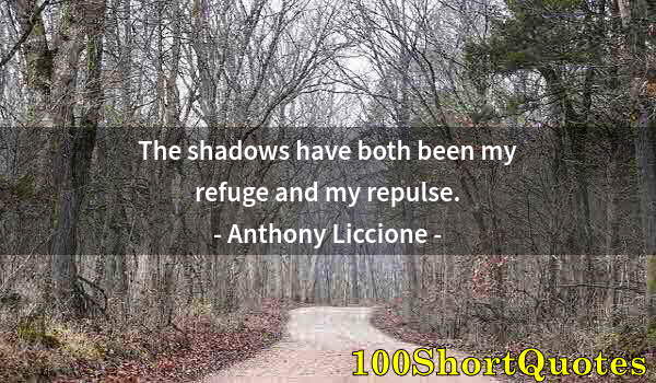 Quote by Albert Einstein: The shadows have both been my refuge and my repulse.