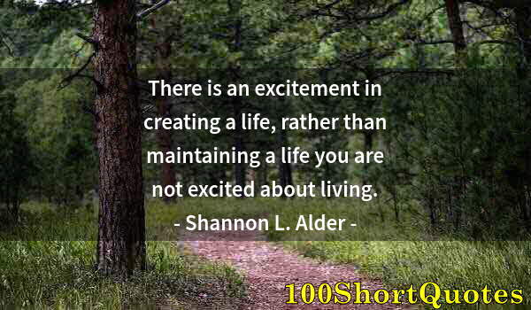 Quote by Albert Einstein: There is an excitement in creating a life, rather than maintaining a life you are not excited about ...