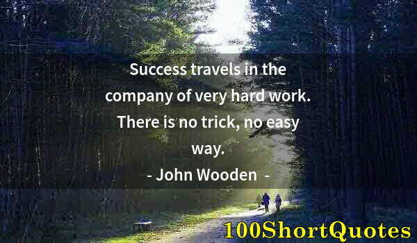 Quote by Albert Einstein: Success travels in the company of very hard work. There is no trick, no easy way.