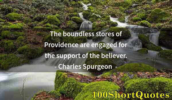 Quote by Albert Einstein: The boundless stores of Providence are engaged for the support of the believer.