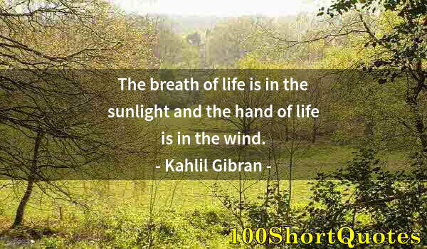 Quote by Albert Einstein: The breath of life is in the sunlight and the hand of life is in the wind.