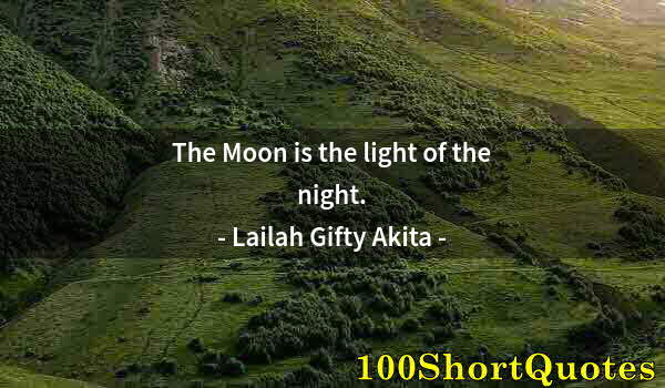 Quote by Albert Einstein: The Moon is the light of the night.