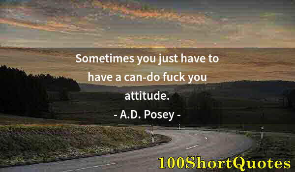 Quote by Albert Einstein: Sometimes you just have to have a can-do fuck you attitude.