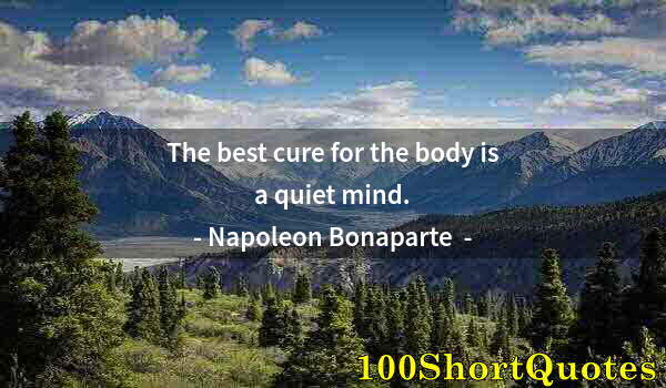 Quote by Albert Einstein: The best cure for the body is a quiet mind.