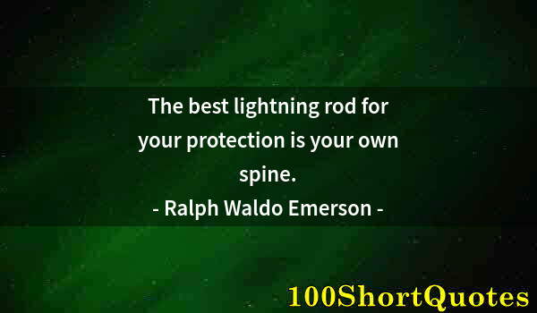 Quote by Albert Einstein: The best lightning rod for your protection is your own spine.