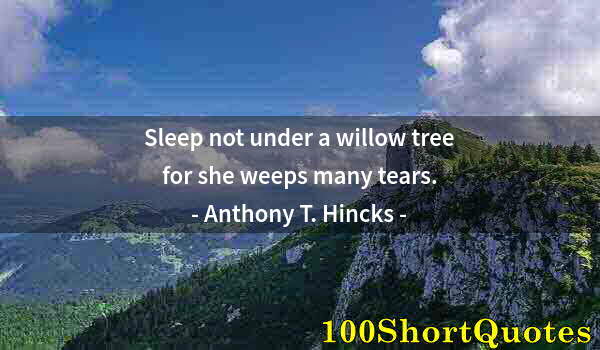 Quote by Albert Einstein: Sleep not under a willow tree for she weeps many tears.