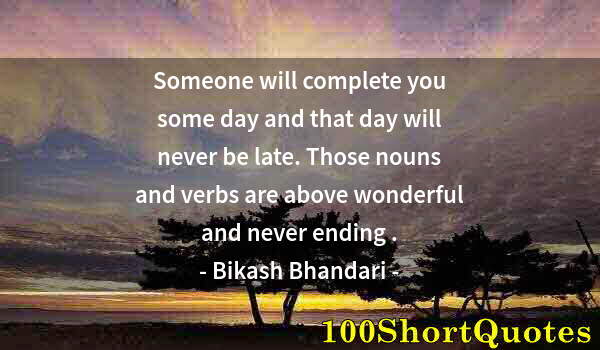 Quote by Albert Einstein: Someone will complete you some day and that day will never be late. Those nouns and verbs are above ...