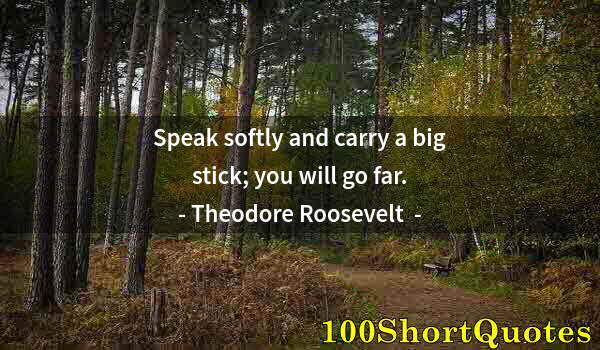 Quote by Albert Einstein: Speak softly and carry a big stick; you will go far.