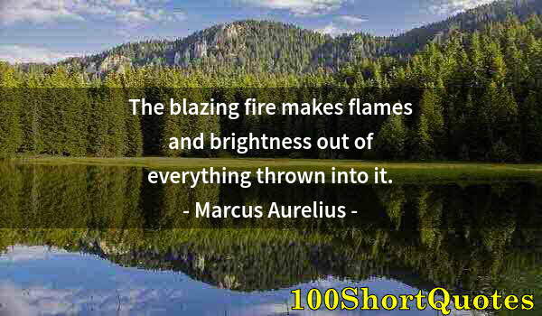 Quote by Albert Einstein: The blazing fire makes flames and brightness out of everything thrown into it.