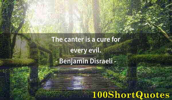 Quote by Albert Einstein: The canter is a cure for every evil.