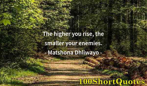 Quote by Albert Einstein: The higher you rise, the smaller your enemies.