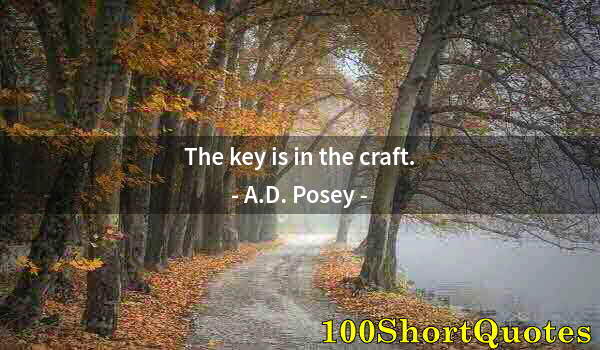 Quote by Albert Einstein: The key is in the craft.