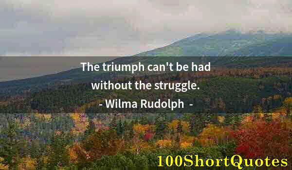 Quote by Albert Einstein: The triumph can't be had without the struggle.