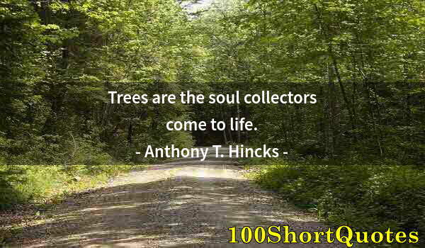 Quote by Albert Einstein: Trees are the soul collectors come to life.