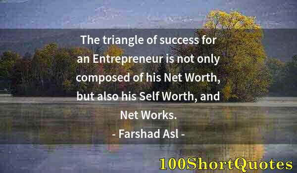 Quote by Albert Einstein: The triangle of success for an Entrepreneur is not only composed of his Net Worth, but also his Self...