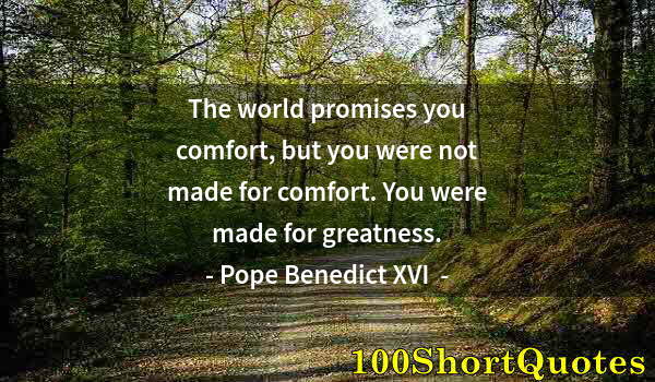 Quote by Albert Einstein: The world promises you comfort, but you were not made for comfort. You were made for greatness.