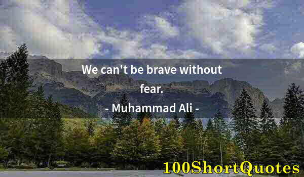 Quote by Albert Einstein: We can't be brave without fear.