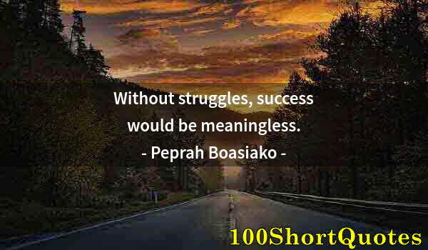 Quote by Albert Einstein: Without struggles, success would be meaningless.