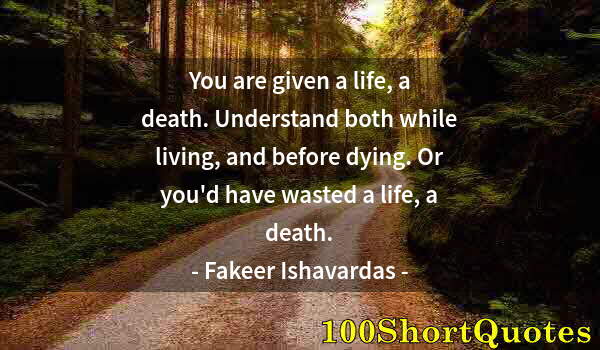 Quote by Albert Einstein: You are given a life, a death. Understand both while living, and before dying. Or you'd have wasted ...