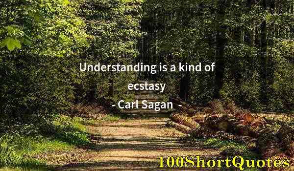 Quote by Albert Einstein: Understanding is a kind of ecstasy