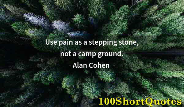 Quote by Albert Einstein: Use pain as a stepping stone, not a camp ground.