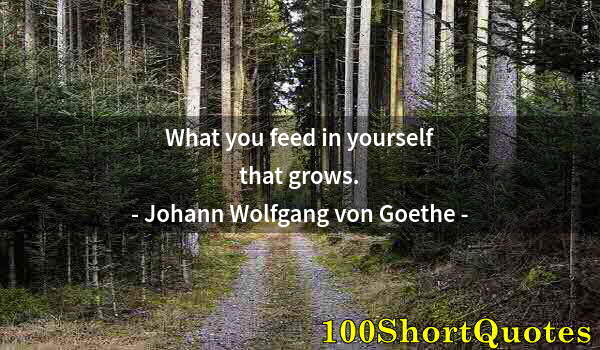 Quote by Albert Einstein: What you feed in yourself that grows.