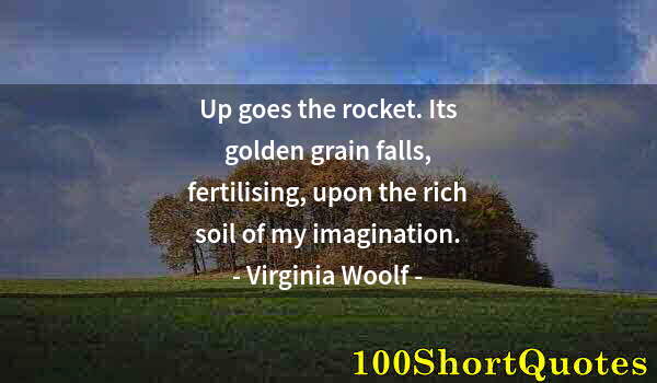 Quote by Albert Einstein: Up goes the rocket. Its golden grain falls, fertilising, upon the rich soil of my imagination.