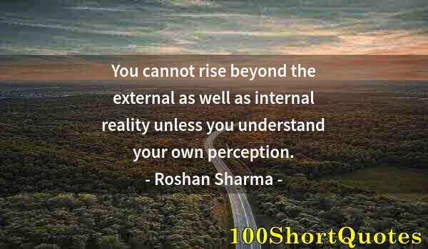 Quote by Albert Einstein: You cannot rise beyond the external as well as internal reality unless you understand your own perce...