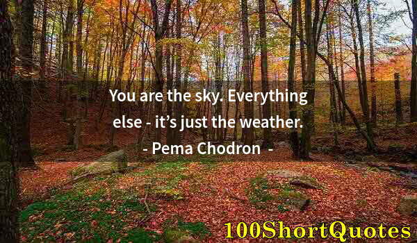 Quote by Albert Einstein: You are the sky. Everything else - it’s just the weather.