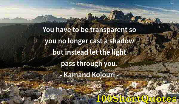 Quote by Albert Einstein: You have to be transparent so you no longer cast a shadow but instead let the light pass through you...