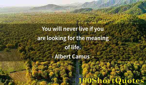 Quote by Albert Einstein: You will never live if you are looking for the meaning of life.