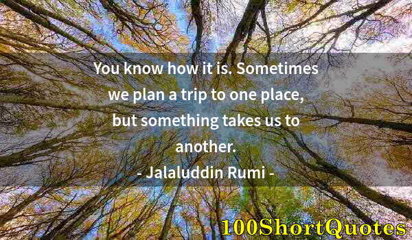 Quote by Albert Einstein: You know how it is. Sometimes we plan a trip to one place, but something takes us to another.