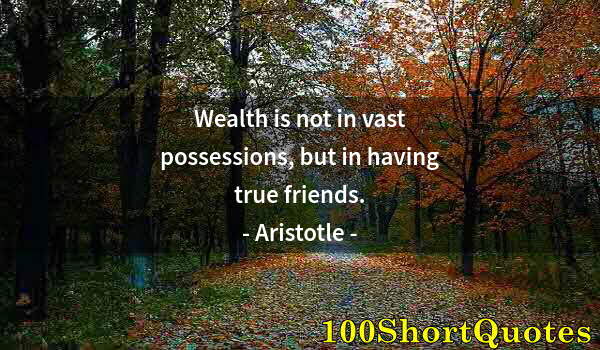 Quote by Albert Einstein: Wealth is not in vast possessions, but in having true friends.