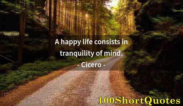 Quote by Albert Einstein: A happy life consists in tranquility of mind.