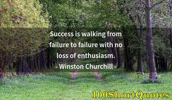 Quote by Albert Einstein: Success is walking from failure to failure with no loss of enthusiasm.