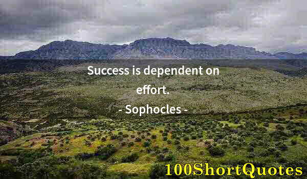 Quote by Albert Einstein: Success is dependent on effort.