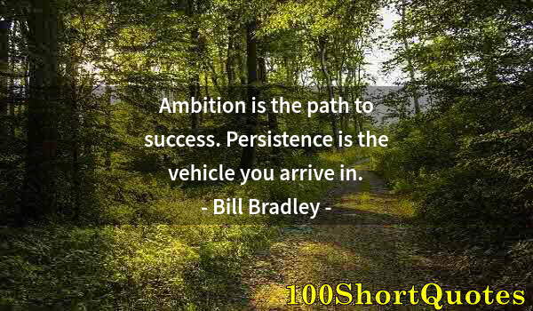 Quote by Albert Einstein: Ambition is the path to success. Persistence is the vehicle you arrive in.