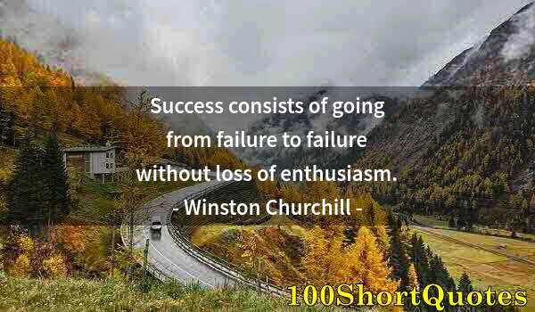 Quote by Albert Einstein: Success consists of going from failure to failure without loss of enthusiasm.