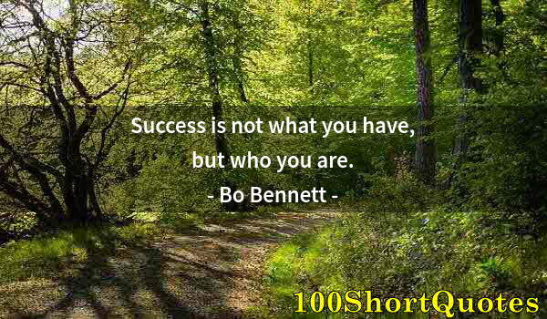 Quote by Albert Einstein: Success is not what you have, but who you are.