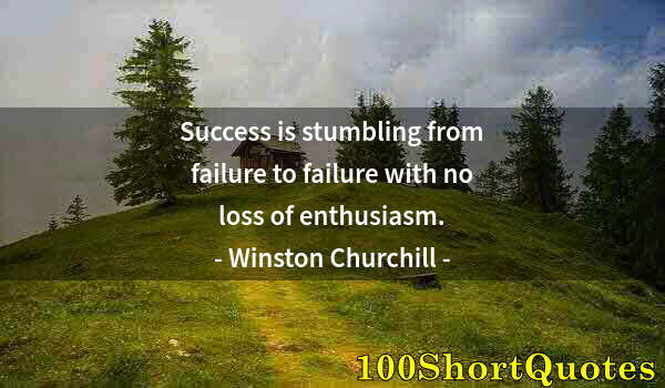 Quote by Albert Einstein: Success is stumbling from failure to failure with no loss of enthusiasm.