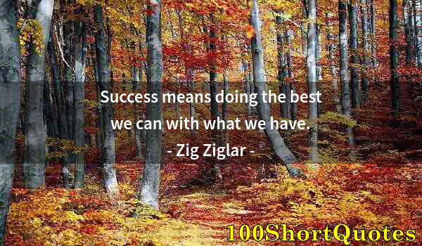 Quote by Albert Einstein: Success means doing the best we can with what we have.